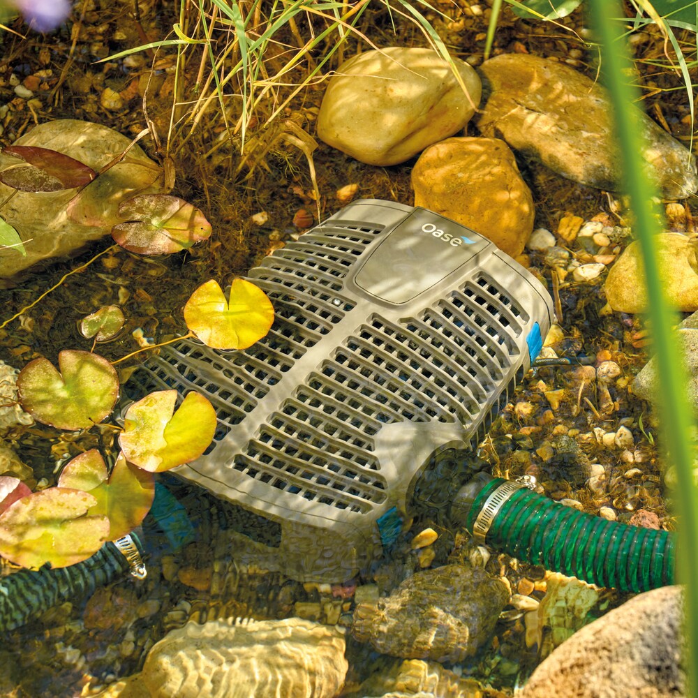 Pompe Oase pour bassin