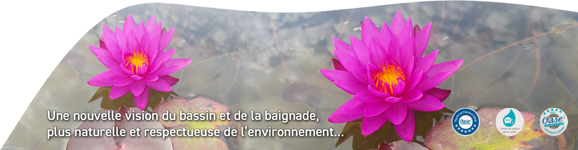 Slider plante bassin naturel