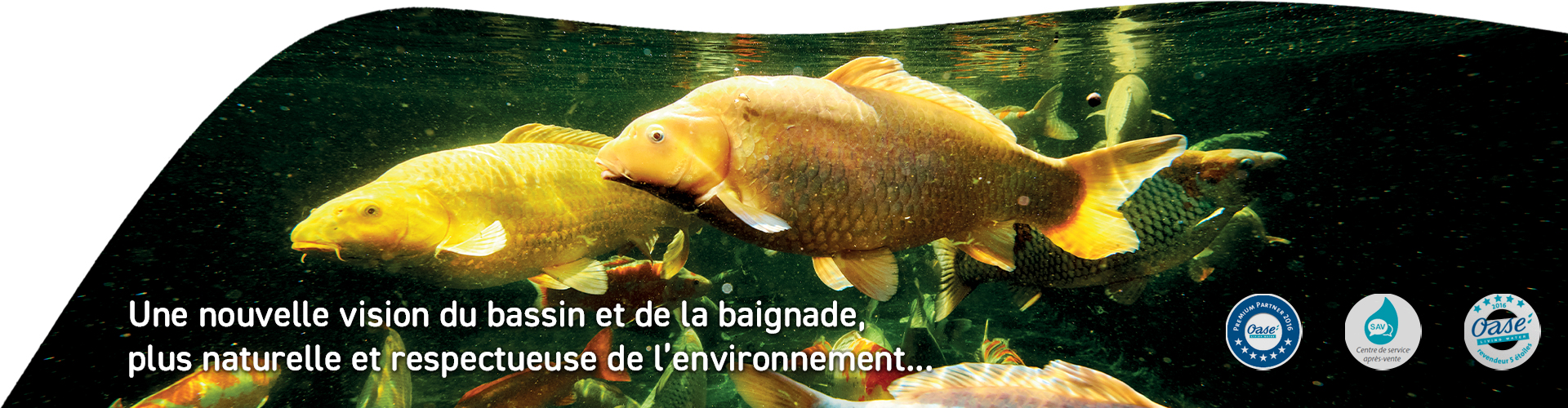 Slider poisson bassin