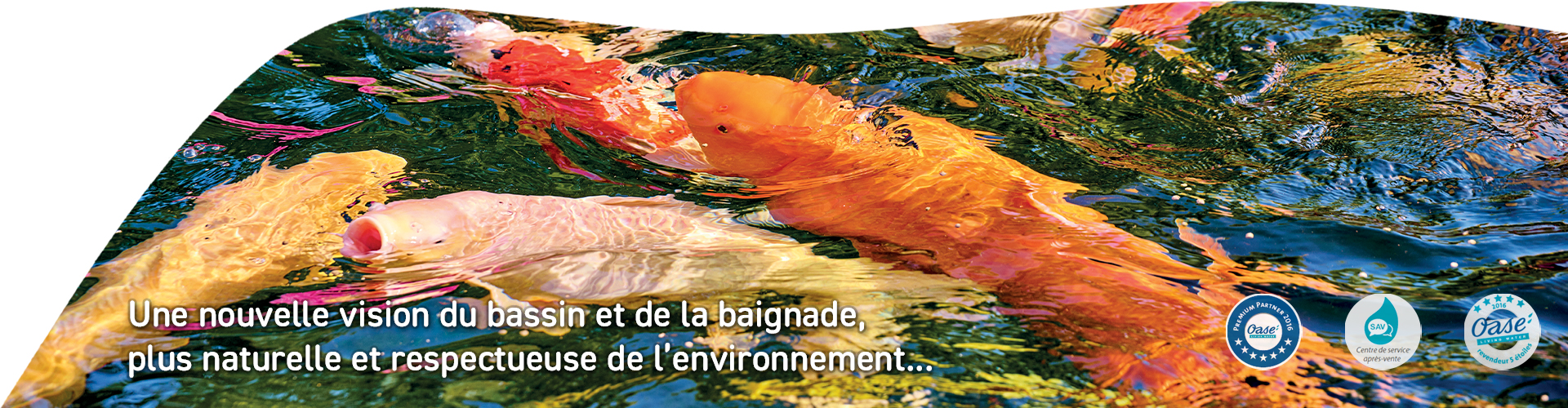 Slider soins poissons bassin
