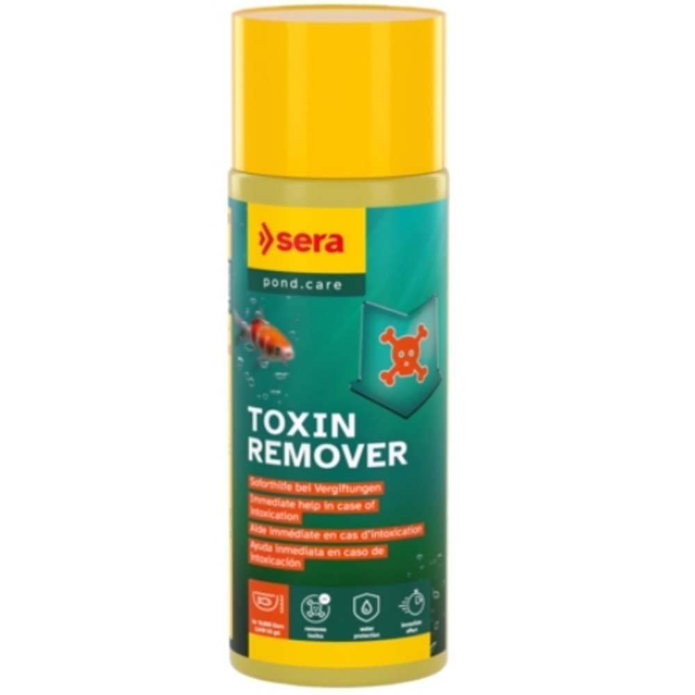 Traitement eau bassin